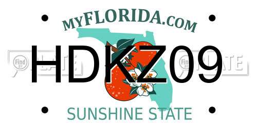 HDKZ09 Florida License Plate