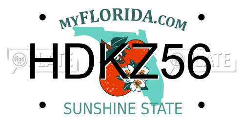 HDKZ56 Florida License Plate