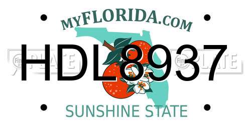 HDL8937 Florida License Plate