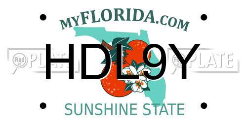 HDL9Y Florida License Plate