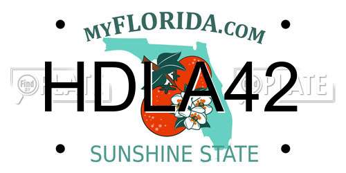 HDLA42 Florida License Plate