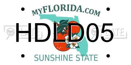 HDLD05 Florida License Plate