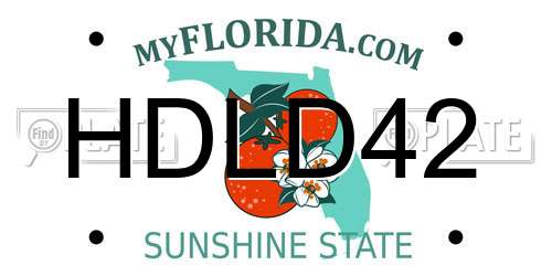 HDLD42 Florida License Plate