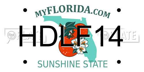 HDLF14 Florida License Plate