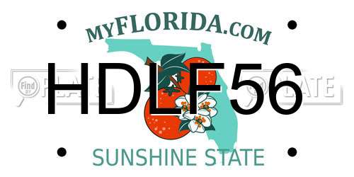 HDLF56 Florida License Plate