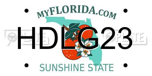 HDLG23 Florida License Plate