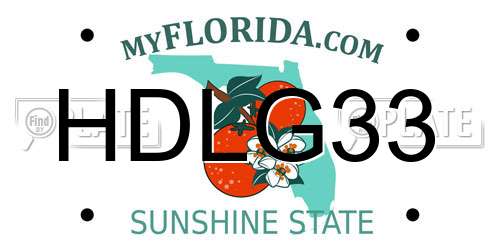 HDLG33 Florida License Plate