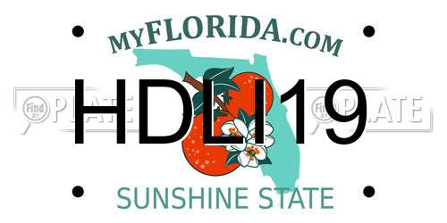 HDLI19 Florida License Plate