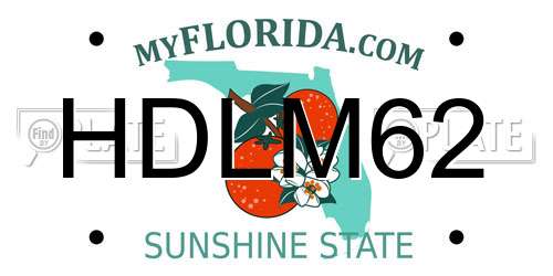 HDLM62 Florida License Plate