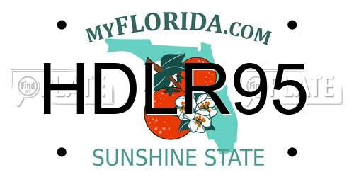 HDLR95 Florida License Plate