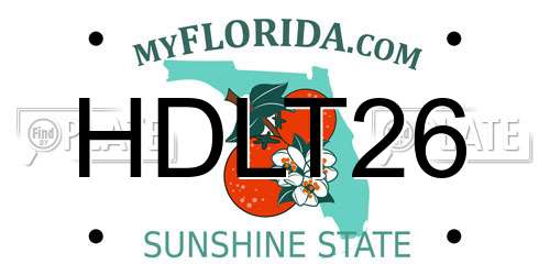HDLT26 Florida License Plate