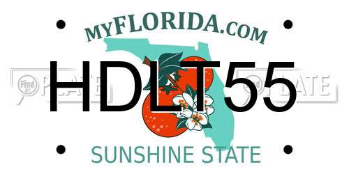 HDLT55 Florida License Plate