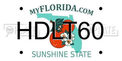 HDLT60 Florida License Plate