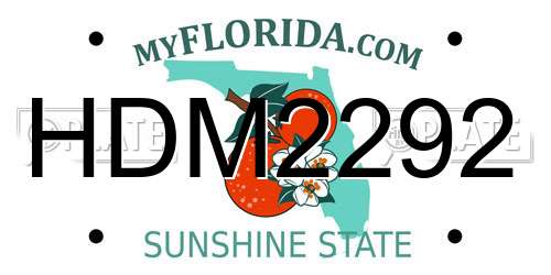 HDM2292 Florida License Plate