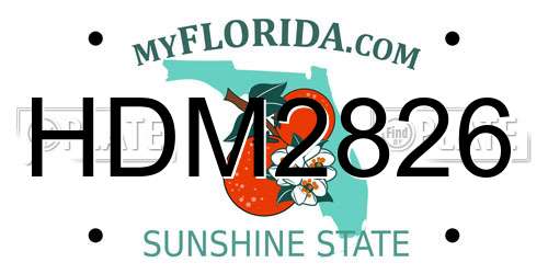 HDM2826 Florida License Plate