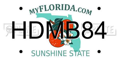 HDMB84 Florida License Plate