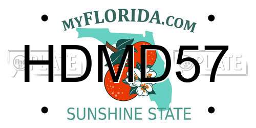 HDMD57 Florida License Plate