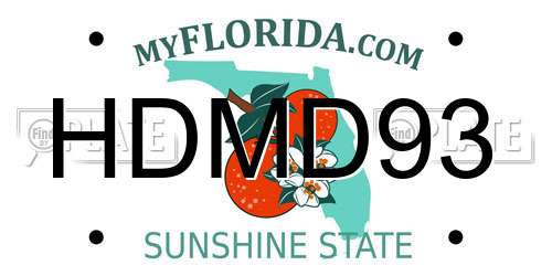 HDMD93 Florida License Plate