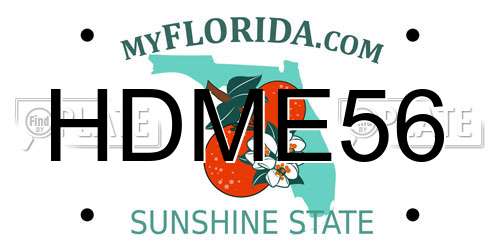 HDME56 Florida License Plate