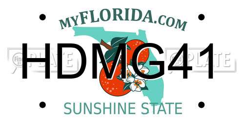 HDMG41 Florida License Plate