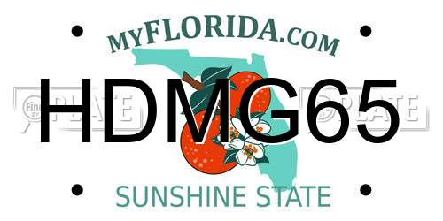 HDMG65 Florida License Plate
