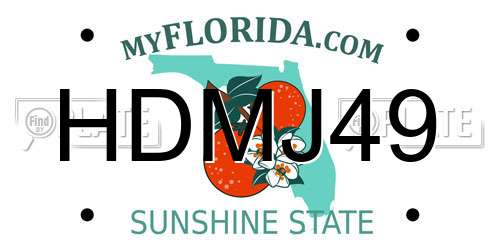 HDMJ49 Florida License Plate