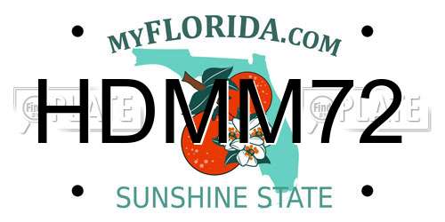 HDMM72 Florida License Plate