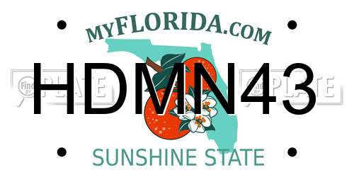 HDMN43 Florida License Plate