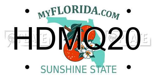 HDMQ20 Florida License Plate