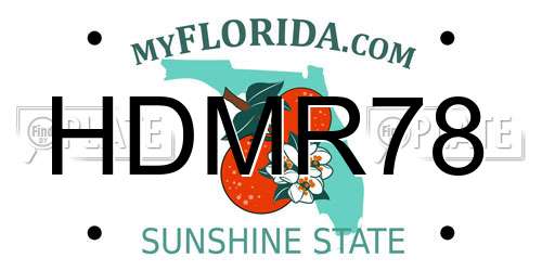 HDMR78 Florida License Plate