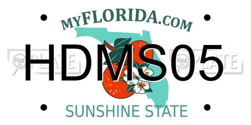 HDMS05 Florida License Plate