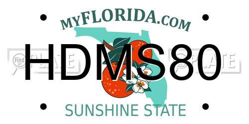 HDMS80 Florida License Plate