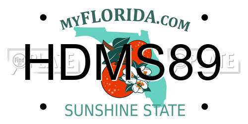 HDMS89 Florida License Plate