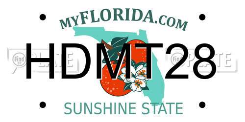 HDMT28 Florida License Plate