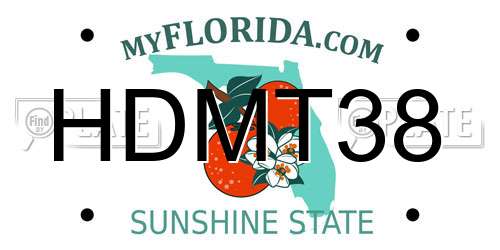 HDMT38 Florida License Plate