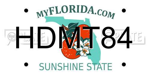 HDMT84 Florida License Plate
