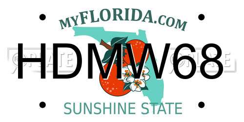 HDMW68 Florida License Plate