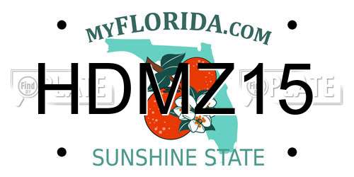 HDMZ15 Florida License Plate