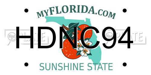 HDNC94 Florida License Plate