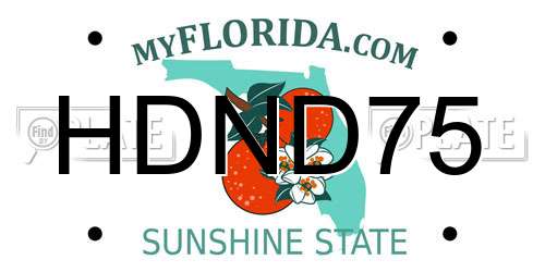 HDND75 Florida License Plate