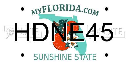 HDNE45 Florida License Plate