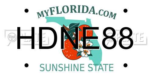HDNE88 Florida License Plate