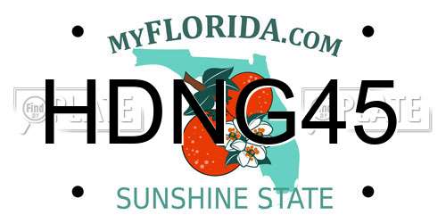 HDNG45 Florida License Plate