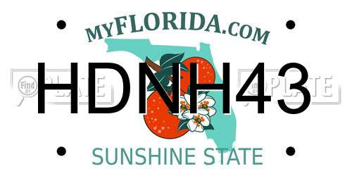 HDNH43 Florida License Plate