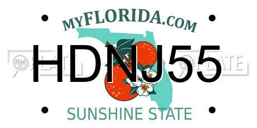 HDNJ55 Florida License Plate