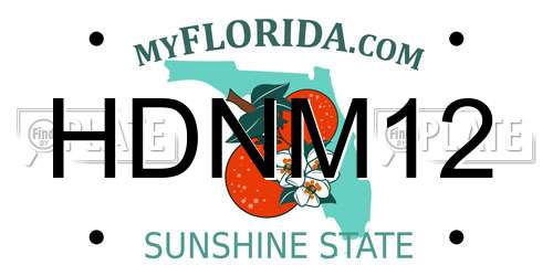 HDNM12 Florida License Plate