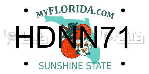 HDNN71 Florida License Plate