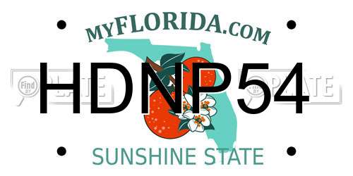 HDNP54 Florida License Plate