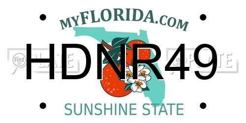HDNR49 Florida License Plate