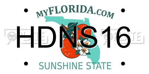 HDNS16 Florida License Plate